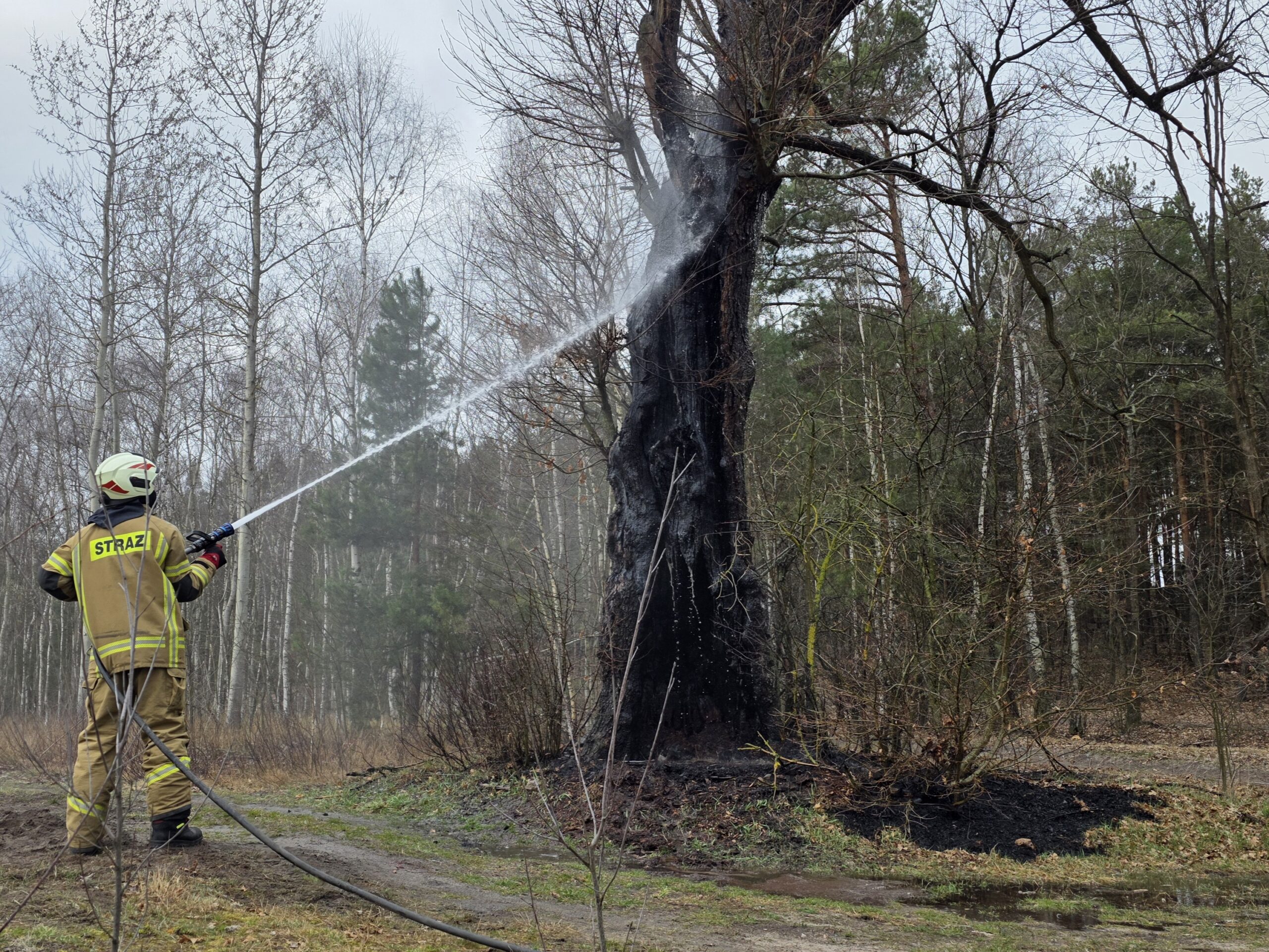 Wyjazdy OSP Długa Kościelna – marzec