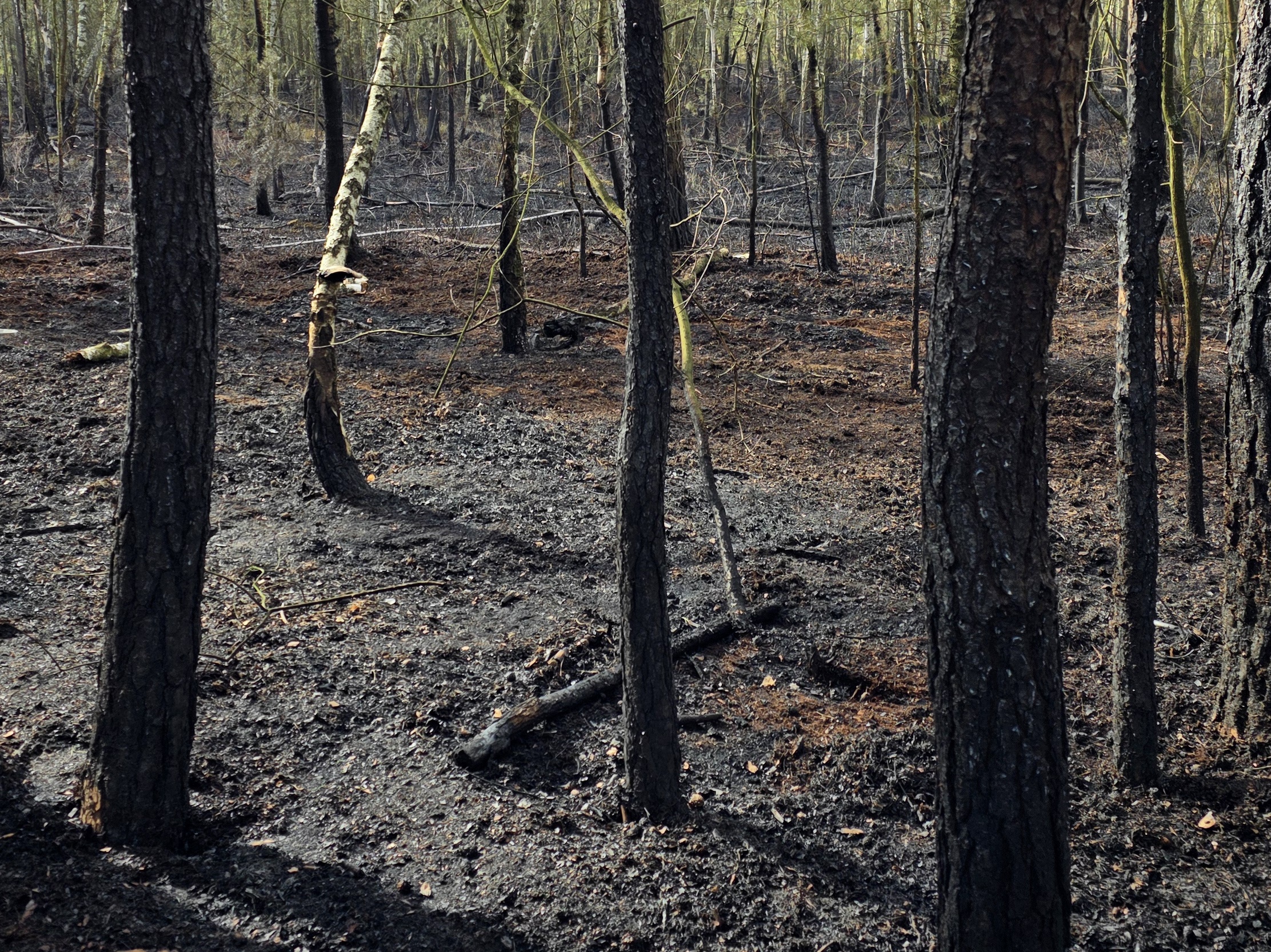 Wyjazdy OSP Długa Kościelna – kwiecień